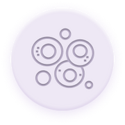 Nutrient-Dense Vitality