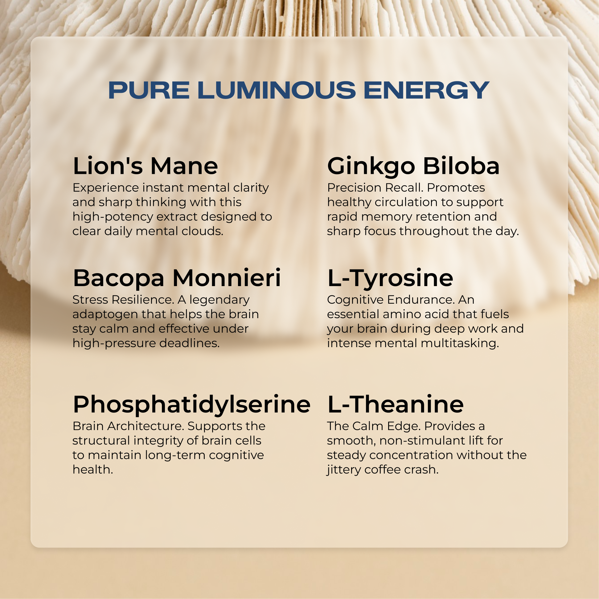 Lion’s Mane Capsules